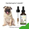 Pet Wellbeing Old Friend for Senior Dogs - Vet-Formulated - Aging Immune System & Joint Mobility Support in Older Canines - Natural Herbal Supplement 2 oz (59 ml)