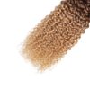 20 22 24 Inch Ombre Bundles Human Hair T1B/4/27 Kinky Curly Bundles 3 Tone Brown and Honey Blonde Bundles Brazilian Grade 8A Virgin Human Hair Extensions Ombre Brown Kinky Curly Bundles