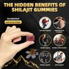 Newrish Shilajit Gummies l Manuka Honey | Himalayan shilajit |No Added Sugar I Ashwagandha, Gokshura| Fulvic Acid & 85+ Trace Minerals I for Men, Women I Non-GMO I 100% Natural & Organic I 30 Gummy