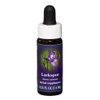 Flower Essence Services Larkspur Essence, 0.25 Ounce