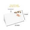 Bear Place Cards Tent Style Cards – 25 Cards per Pack – shower Bear Party Supplies Decorations(TAIKA-012)