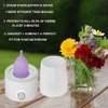 Mottery Menstrual Cups Steamer Machine High Temperature Wash Your Cup 99.9% Dirty 8 Minutes - Feminine Hygiene - Leak-Free (Model Five)