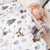 HOMRITAR Baby Blanket for Boys Girls Soft Plush Minky Blanket with Double Layer Dotted Backing for Toddler with Forest Foxes Multicolor Printed 30 x 40 Inch(75x100cm)