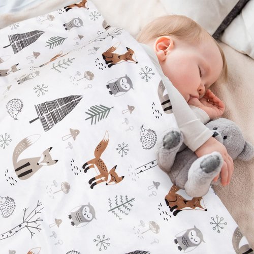 HOMRITAR Baby Blanket for Boys Girls Soft Plush Minky Blanket with Double Layer Dotted Backing for Toddler with Forest Foxes Multicolor Printed 30 x 40 Inch(75x100cm)