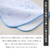 NOREN Japanese Cotton Towel Senshu (Osaka) Towel/Washcloth Face Towel Japanese Handkerchief/Made in Japan 100% Cotton Quick Drying Absorbent Ultra Soft Thin Traditional Japanese Pattern (Goldfish)