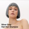 Hair Dye Shampoo 3 in 1, Silver Grey Hair Dye 16.9 FL Oz, Silver Grey Hair Shampoo, Semi-Permanent Hair Dye Shampoo, Easy To Use, Lasts 30 Days Hair Color Shampoo (Silver Grey)