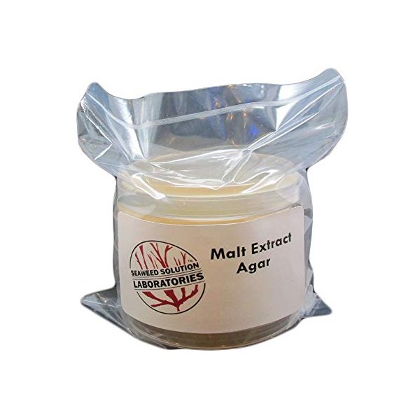Malt Extract Agar (MEA) 5, 100 Millimeter Plates - Sterile