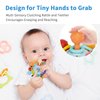 Accevo Baby Teething Toys Silicone Baby Teether Toys for 6-12 Months Chew Toys for Sucking Needs, Baby Teether for Soothing Sore Gum Montessori Toys for Babies for Newborn