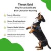 Pet Wellbeing Throat Gold for Dogs - Vet-Formulated - Soothes Throat Discomfort, Hoarseness, Leash Strain, Occasional Cough in Dogs - Natural Herbal Supplement 2 oz (59 ml)