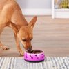 Dogit Dog Food and Water Bowl, BPA-Free Dog Dish, Non-Skid Dog Bowl, Pink, 90411, 10.1 oz