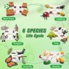 Mostop Life Cycle Learning Toys for Kids, Life Science Educational Kit with Frog, Butterfly, Penguin, Chicken, Ladybug, Plants, 25 Pcs Plastic Animal Figurines Montessori Toys for Boys Girls Age 3+