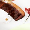 TAN MUJIANG Women Hair Comb Natural Wood Scalp Massage Laquar 2-9 1pc