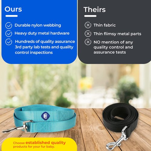 Blueberry Pet Essentials 21 Colors Durable Classic Dog Leash 5 ft x 5/8", Dark Orchid, Small, Basic Nylon Leashes for Dogs