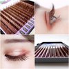 Lash Extension Supplies, 2 Trays 12 Rows Volume Eyelash Extensions, Soft Faux Mink Individual Lashes, Japanese Camellia Natural Series, 0.05-C, 10mm & 11mm, Caramel
