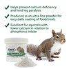 Squirrel-Cal 3.5 oz. - Ultra-fine Powdered Calcium Supplement - for Pet Squirrels