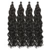 BAESITTE Ocean Wave Crochet Hair 20 inch Soft Hawaii Wavy Braiding Hair 4 Packs Hawaii Wavy Synthetic Crochet Hair Long Curly Hair Extensions #4 Natural Black Color 90g