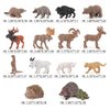 Wildlife Animal Model Playsets 14 PCS North American Animal Hedgehog Echidna Figures Figurine Family Party Favors Supplies Cake Toppers Set Toys for 5 6 7 8 Years Old Boys Girls Kids