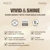 Red by Kiss Tintation Vivid & Shine Permanent Hair Dye – High Lift Formula with Argan Oil & Vitamin E, Bonding Complex, Sulfate & Ammonia Free, 100% Gray Coverage, Lasts 12+ Weeks (Ash Brown)