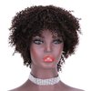 ZHENLISI Dark Brown Color Afro Kinky Curly Short Curly Human Hair Wigs Brazilian Virgin Hair Wigs for Black Women(2#)