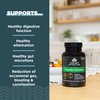 Ancient Nutrition Digestive Enzymes, Supports Gut Health, Promotes Healthy Digestive Function, 90 Ct