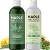 Shampoo and Conditioner for Oily Hair and Scalp - Sulfate and Paraben Free Shampoo and Conditioner Set for Oily Hair Care with Deep Cleansing Tea Tree Oil - Color Safe & Cruelty Free (8 Fl Oz)
