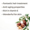 Plant Therapy Hair Therapy Moisturize & Protect Hair Oil 4 oz Organic Argan Oil 100% Pure and USDA Organic, First-Press, Virgin, For Face, Hair, Skin, Nails and Cuticles