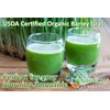 Barley Grass Powder - USDA Certified Organic Barley Grass Powder - Non-GMO, Vegan, and Non-Irradiated - Rich In Antioxidants, Protein, Fiber, Minerals, Chlorophyll, Amino Acids and Protein - 200 Grams