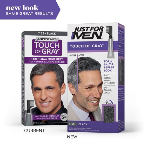Just For Men Touch of Gray Men's Hair Color, Black