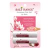 WBM Lip Balm, Formulated with Cherry & Shea Butter, Moisturization Lip Care For All Day Hydration, 100% Natural, Organic Chapstick, 1 Count (2 Pieces) - 0.30 Ounce