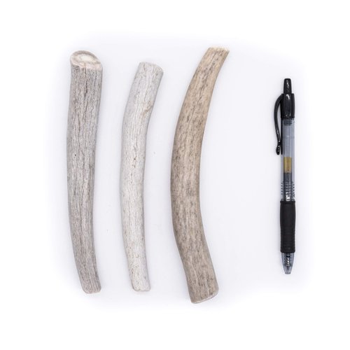 Perfect Pet Chews Economy Antler Dog Chew - Grade B-C, All Natural, Organic, Long Lasting Treats - Made from Naturally Shed Antlers in The USA - Medium Treat - 3-Count