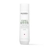 Goldwell Dualsenses Curls & Waves Hydrating Shampoo 300mL, 10.1 Oz (Pack of 1)
