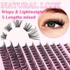 SLSXNL Lash Clusters Eyelash Extensions C Curl Natural Eyelash Clusters 8-16MM Wispy Cluster Lashes 120pcs Thin Band False Eyelashes 8mm 10mm 12mm 14mm 16mm
