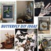 12 Pcs Real Butterfly Specimen - Taxidermy Butterfly DIY Creative Production, Taxidermy Animals for Framed Butterfly Shadow Box (Random)