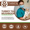 Mushroom Drops for Cats, Natural Cat Immmune Mushroom Liquid Drop with Turkey Tail Mushroom Extract for Immune Support, Digestive & Joint Mobility, Pet Mushroom Herbal Supplement - 2 fl oz (60 ml)