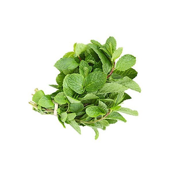 Mint Leaves / Fresh - 0.75oz bag