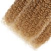 Ombre Honey Blonde Human Hair Bundles T4/27 Kinky Curly Bundles Mixed Length 3 Bundles 26 28 30 Inch 2 Tone Brown and Honey Blonde Bundles Brazilian Unprocessed Virgin Human Hair Extensions