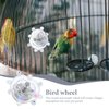 Toddmomy Bird Toys for Parakeets Colorful Parakeet Toys Wheel Interactive Pet Bird Rotating Toy for Cockatiel,Conure,Lovebirds（Transparent）