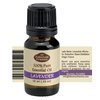 Fabulous Frannue Great Eight Set in Carrying Case osemary, Lavender, Sweet Orange, Lemongrass, Tea Tree, Patchouli, Peppermint and Eucalyptus Pure Essential Oils 10ml (Count of 8)
