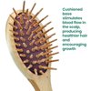 Giorgio Eco Friendly Wooden Bristle Hairbrush Set - Detangling Brush and Hair Growth Brush for Thick or Long Hair - Paddle Hair Brush with Anti Static Beechwood and Silicone Massage Cushion