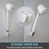 HealthSmart Modern Handheld Shower Head with 6 Foot Hose, Detachable, Unfinished