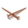 Dubbs Hardware 12 Pack USA Made! Copper 4 Inch Long Nail Spikes, Kills Trees Stumps Roots Reliable
