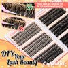 Calphidar Eyelash Clusters 30D+40D+50D+60D+80D+100D Lash Clusters Wispy Individual Lashes 476PCS D Curl Lash Extension 8-16MM Natural Lashes Clusters DIY Cluster Eyelash Extensions for Beginners