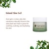 Hanalei Cruelty-Free and Paraben-Free Cooling Island Aloe Gel Everyday Moisturizer and After-Sun Care – Full Size (100g)