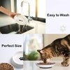 WROSWT Cat Food Bowl,Healthy Ceramic Cat Bowls for Indoor Cats,Anti Whisker Fatigue Cat Dishes Set,Shallow Wide Kitten Plates for Food and Water,Non-Slip Silicone Bottom,3 Pack