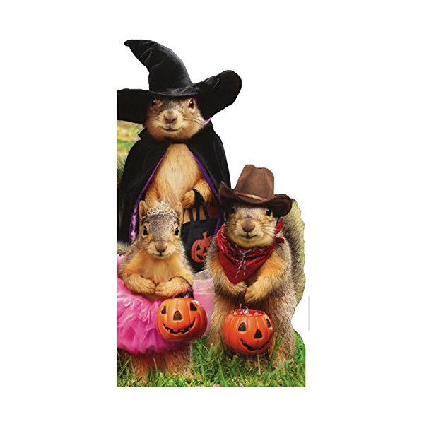 AVANTI Card Squirrel Trick Or Treaters, 1 EA