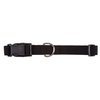 Zack & Zoey ⅝" Wide Nylon Dog Collar, Fits Necks 10" to 16", Jet Black