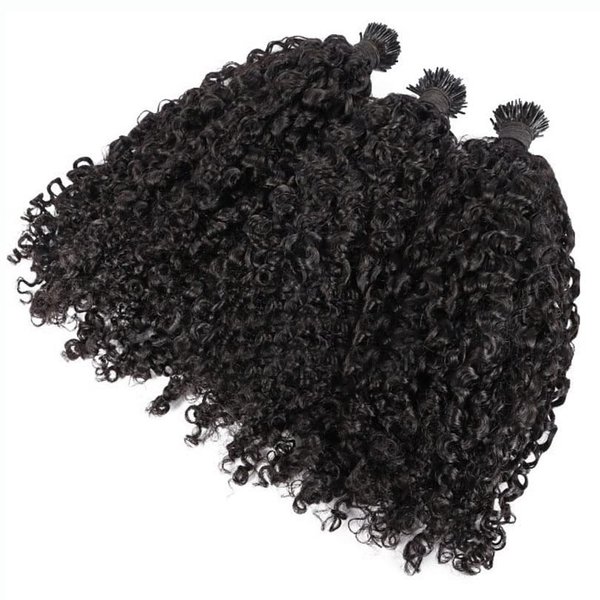 RJ Hair Sassy Curly I Tip Hair Extensions 100 Strand Brazilian Microlinks Human Hair Keratin Fusion Stick I Tip Hair For Women (20inch 100strand, Natural Color)