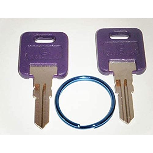G345 Purple RV Keys with Blue Key RingF
