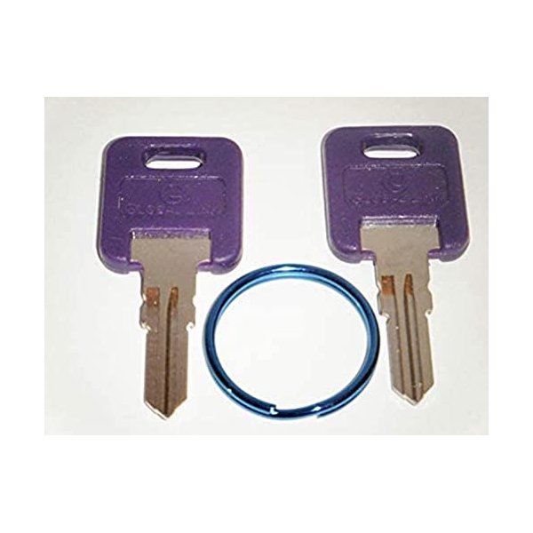 G345 Purple RV Keys with Blue Key RingF