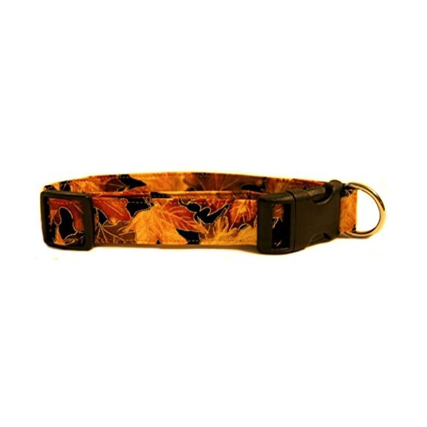 K9 Bytes Autumn Leaves Dog Collar with Quick Release Buckle (Small)